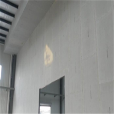 花溪新型建筑材料掺多种工业废渣的ALC|ACC|FPS模块板材轻质隔墙板